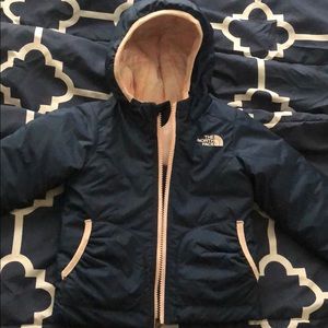 The north face coat